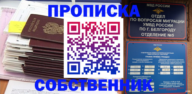 прописка законно в Ковылкино